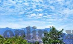 av麻豆av-夫妇的黑马时代，揭秘AV麻豆背后的动人故事