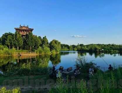 免费成人视频app-解锁娱乐新视界，免费成人视频app的多元体验